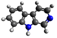 The prototype of a class of compounds known as β-carbolines