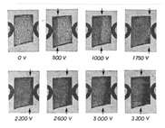 (b) Transmission picture of a CdS crystal with Franz-Keldysh effect darkening, 0-1,700 V bias cathode adjacent, 2,200 - 3,200V anode adjacent domain