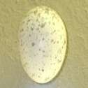 A cream egg with light buff blotches