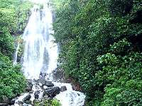 Amboli2.jpg