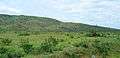 Andhra Pradesh - Landscapes from Andhra Pradesh, views from Indias South Central Railway (39).JPG