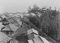COLLECTIE TROPENMUSEUM Het bergdorp Tosari in het Tenggergebergte TMnr 60043213.jpg