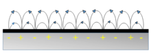 SPRM Image 3.
