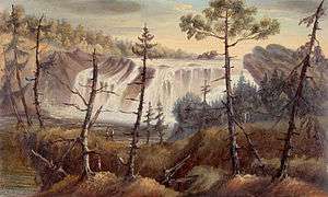 A relatively wide cascade descends perhaps 20 feet (6 meters). Woods are visible above the falls, and the view before the falls includes scraggly coniferous trees growing out of a grassy area.