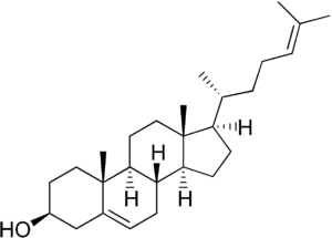 Skeletal formula of desmosterol