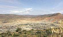 ዓዲ ሕሊና