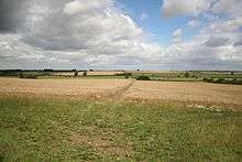 a field of standing wheat, with a bare fotpath going straight up from where we stand. Above all a rolling seies of cumulus clouds crwod an otherwise blue sky. The terrain to the distant woodland on the horizon is tiny, loosely rolling, low hills. The immediate nearground is a field margin of low green grasses.