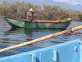 Freshwater shrimp fishing.jpg
