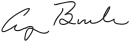 Cursive signature in ink