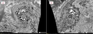 A comparison of Dvorak-enhanced infrared satellite signatures of Hurricanes Patricia and Linda (1997) at their peak intensity. A "cold dark gray" ring surrounding Patricia's eye represents cloud tops of −81 °C (−114 °F) or colder, more intense than the "cold medium gray" ring surrounding Linda's eye.