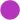 Purple Line