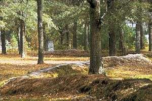 A wooded scene, with tall trees and a leafy carpet. A mounded earthworks about 2 feet (0.5 m) high snakes through the scene.