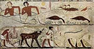 Painting on the wall of Nefermaat's tomb