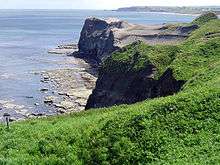 Photograph of grass-topped cliffs and the sea. Flat, bare rock can be seen where the sheer cliffs meet the water