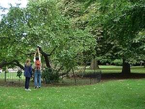 Sayes Court Park in early September 2013.