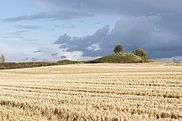 Tumulus structure at Borum