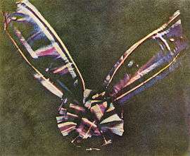 A bow made of tartan ribbon. The center of the bow is round, made of piled loops of ribbon, with two pieces of ribbon attached underneath, one extending at an angle to the upper left corner of the photograph and another extending to the upper right. The tartan colors are faded, in shades mostly of blue, pink, maroon and white; the bow is set against a background of mottled olive.