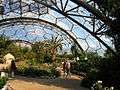 The Hot, Dry Biome, Eden Project - geograph.org.uk - 219410.jpg